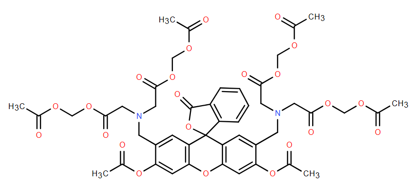 148504-34-1，细胞染色剂黄绿素-AM，一种常用的细胞内钙离子荧光探针