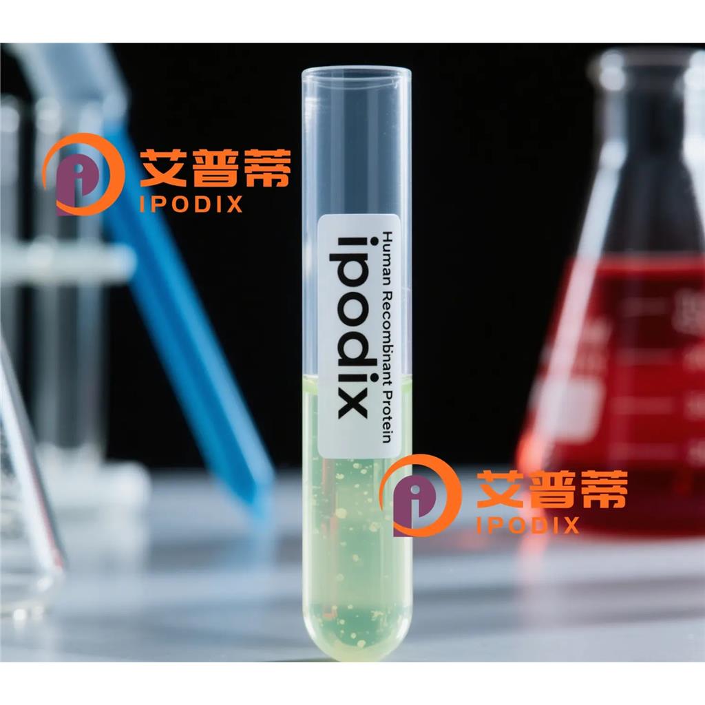 CYLD抗体;CYLD Antibody—艾普蒂