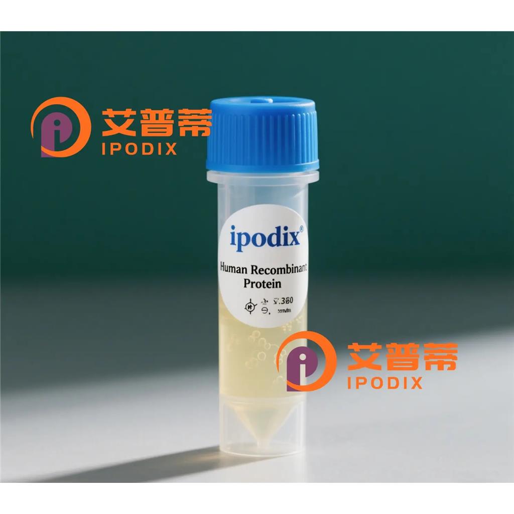 CYLD抗体;CYLD Antibody—艾普蒂