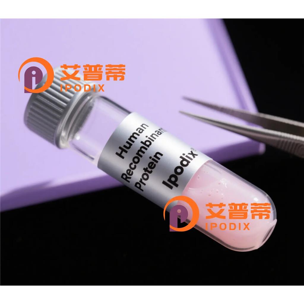 ALDH1L1抗体;ALDH1L1 Antibody—艾普蒂