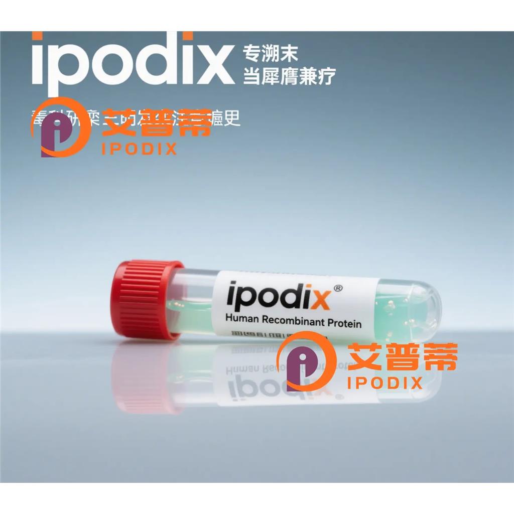 CCNA1抗体;CCNA1 Antibody—艾普蒂