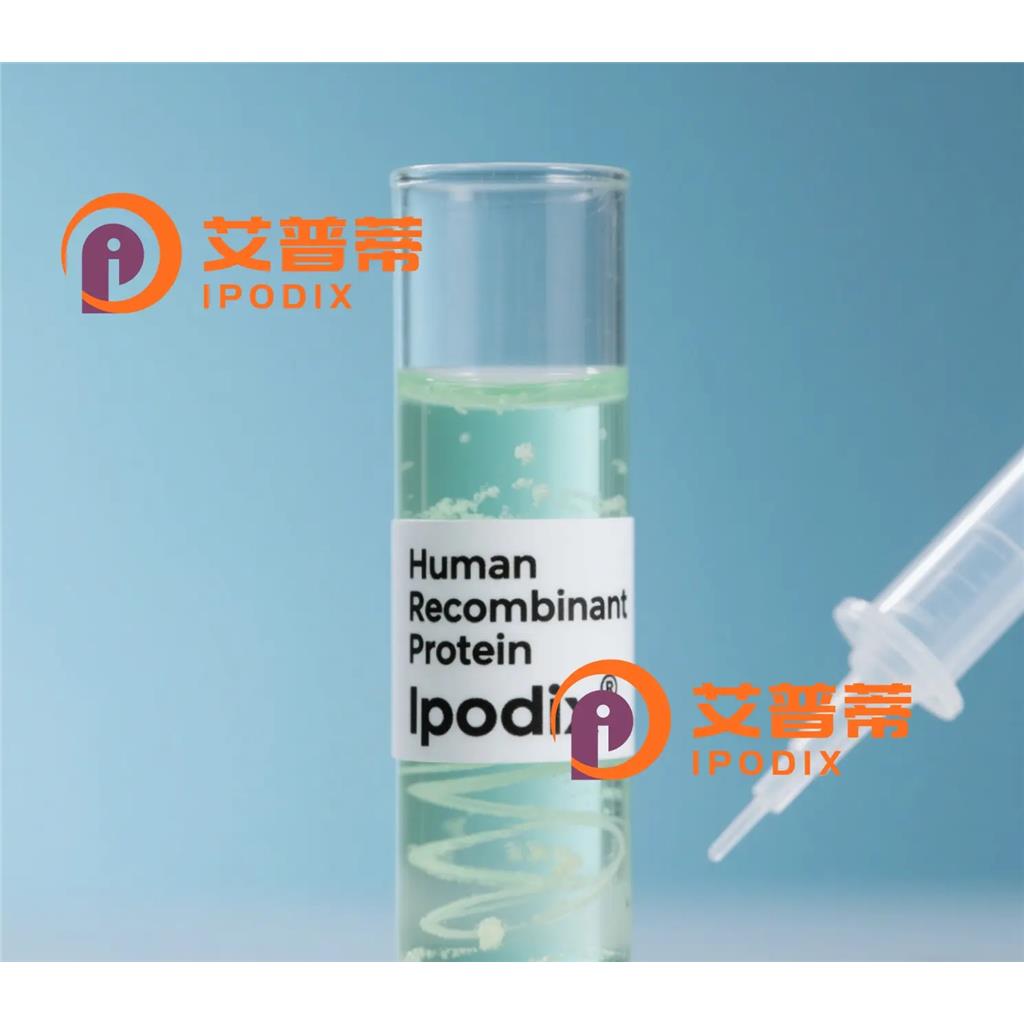 FKBP4抗体;FKBP4 Antibody—艾普蒂