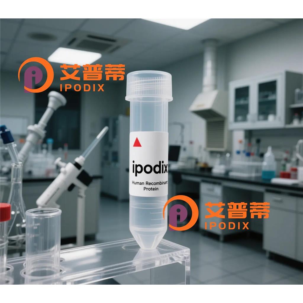 KATNAL1抗体;KATNAL1 Antibody—艾普蒂