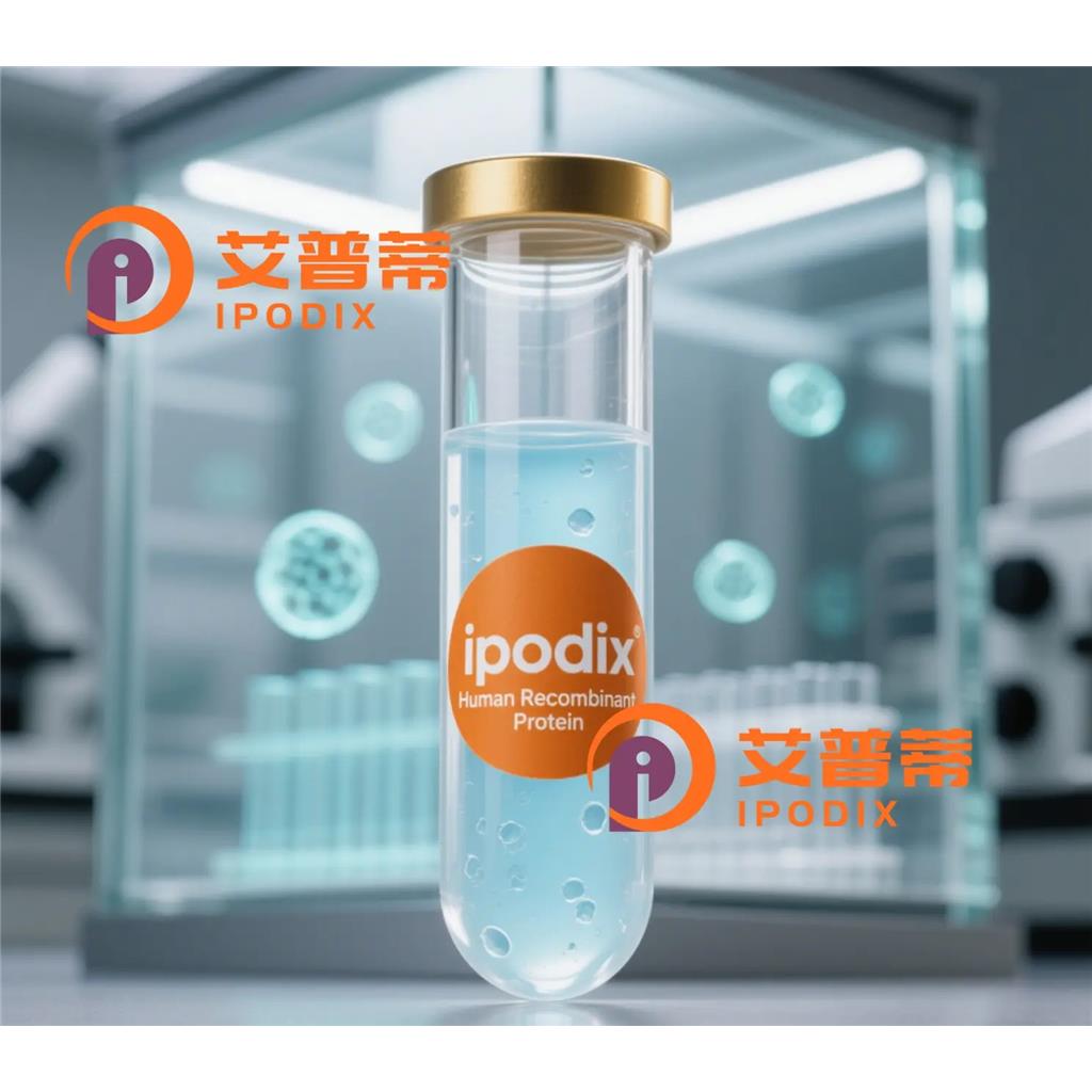 PARP1抗体;PARP1 Antibody—艾普蒂