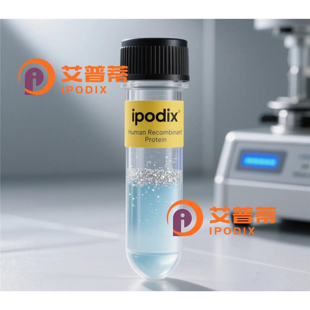 PTEN抗体;PTEN Antibody—艾普蒂