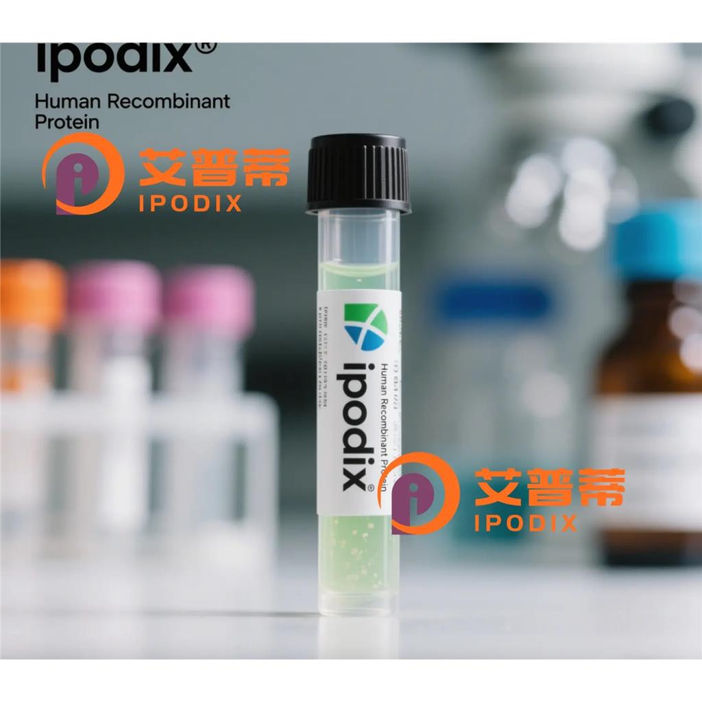 MCL1抗体;MCL1 Antibody—艾普蒂