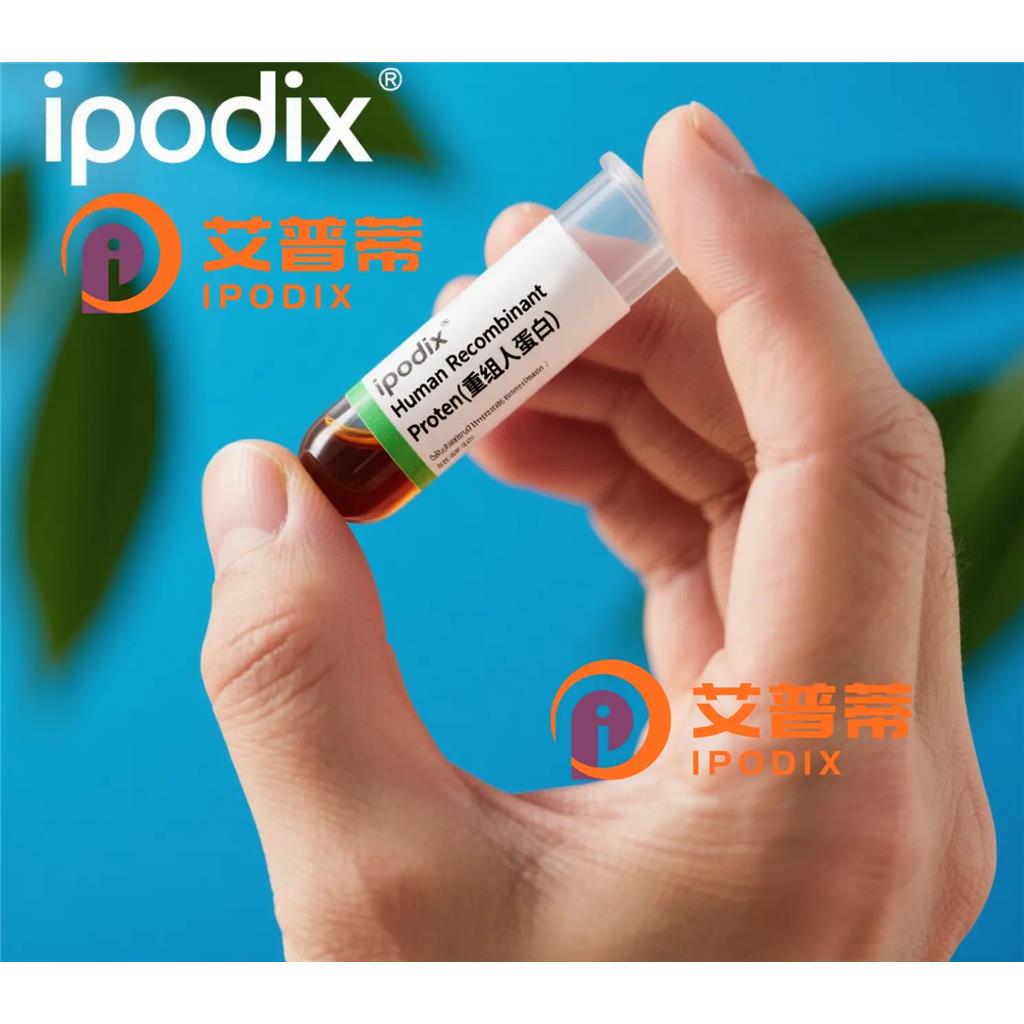 TDP2抗体;TDP2 Antibody—艾普蒂