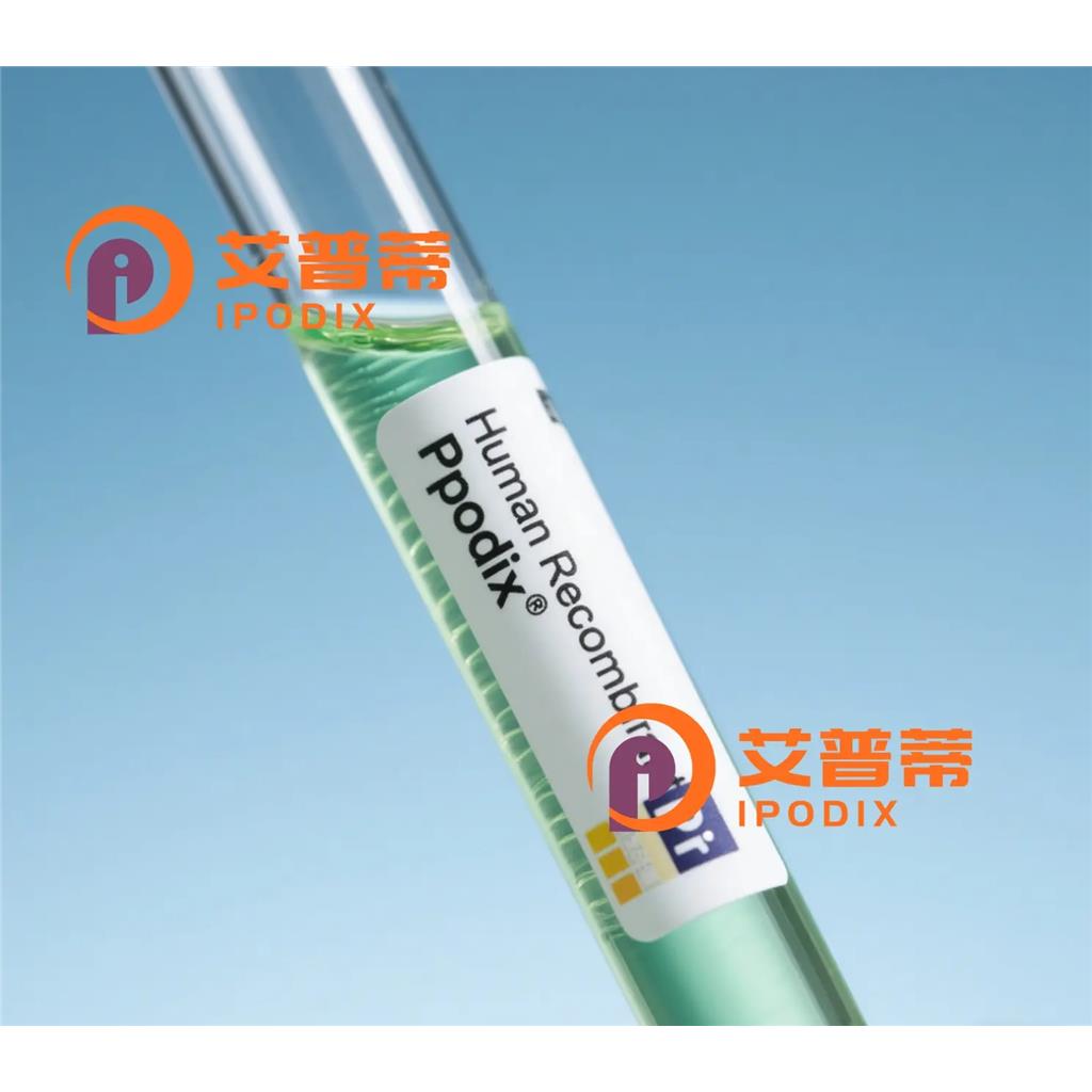 NFKBIZ抗体;NFKBIZ Antibody—艾普蒂