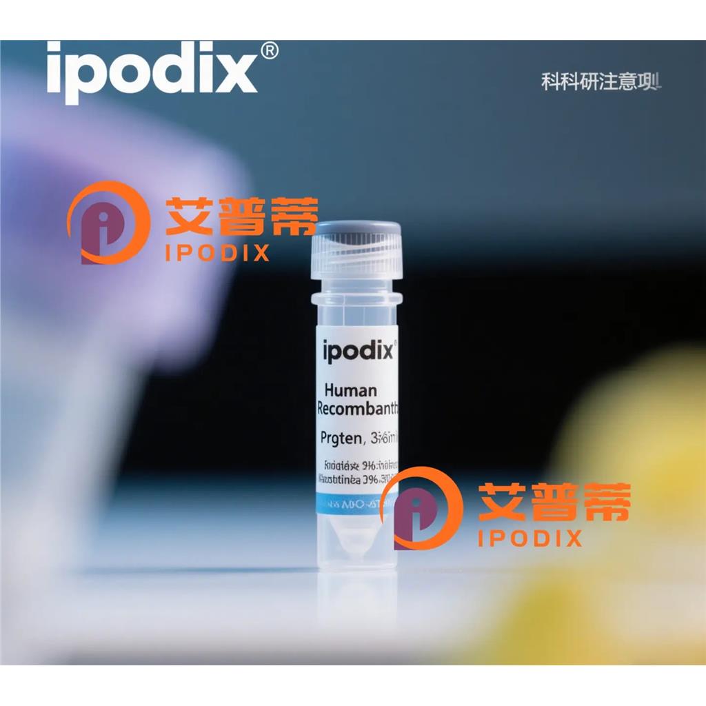 MAGEB18抗体;MAGEB18 Antibody—艾普蒂