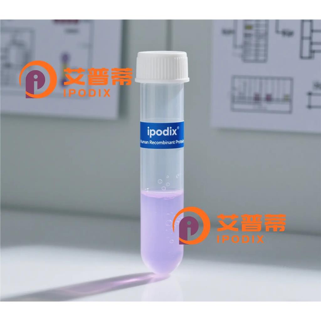 MAPKAPK2抗体;MAPKAPK2 Antibody—艾普蒂