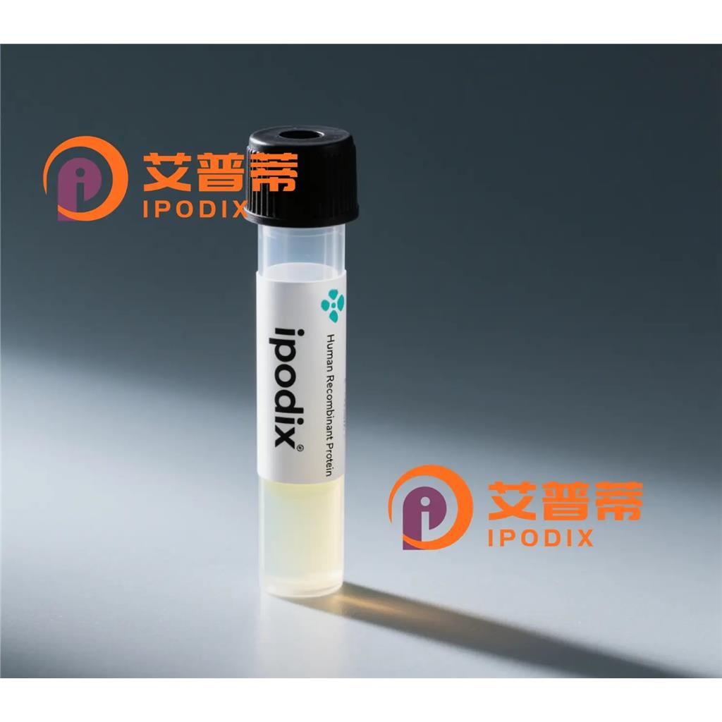 PPM1F抗体;PPM1F Antibody—艾普蒂