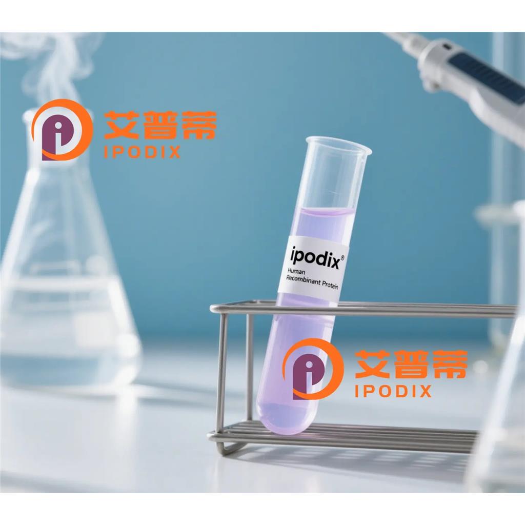 SNX3抗体;SNX3 Antibody—艾普蒂