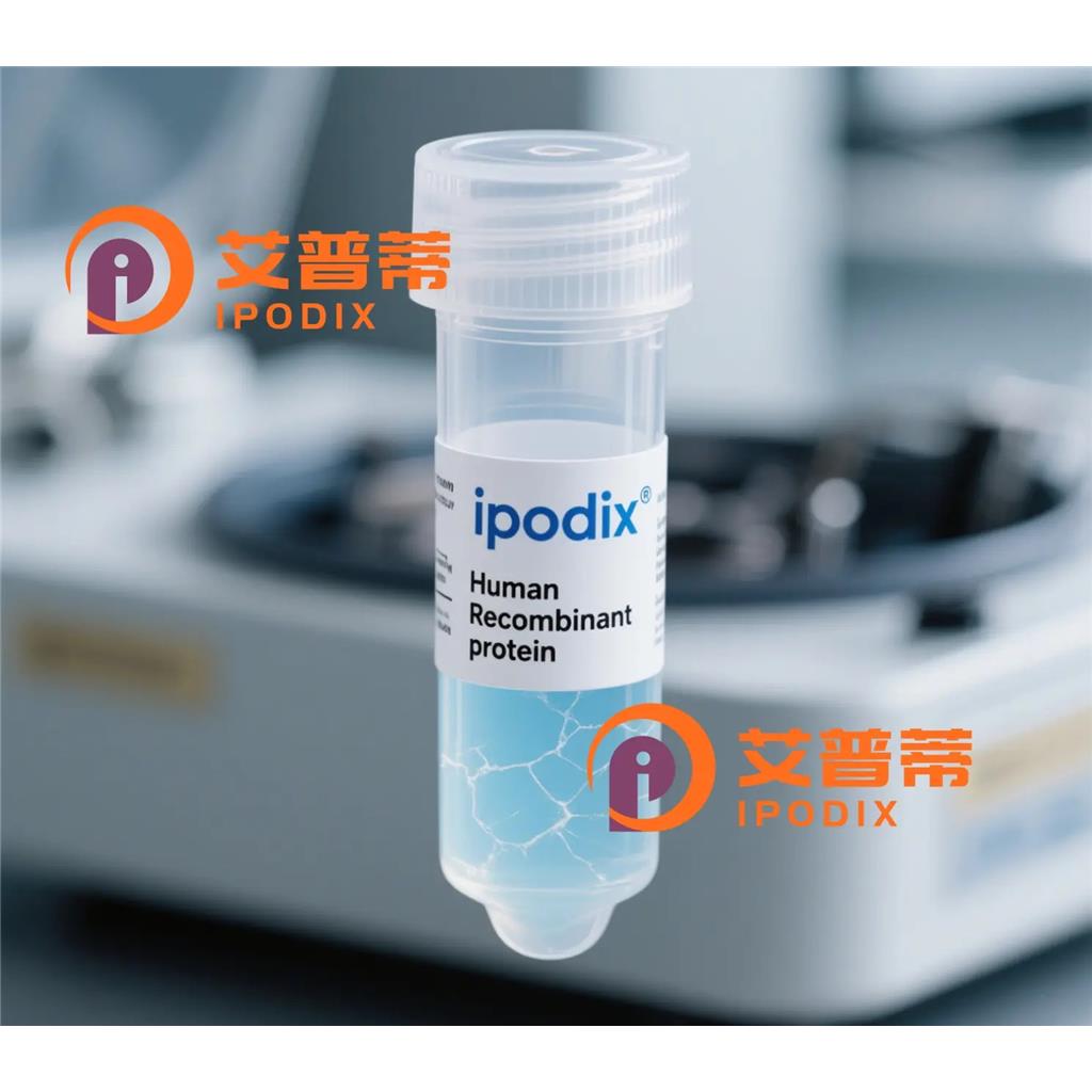 BRMS1抗体;BRMS1 Antibody—艾普蒂