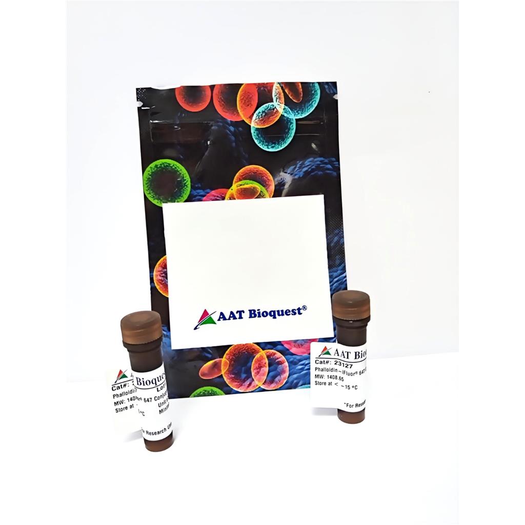 鬼笔环肽-iFluor 647标记