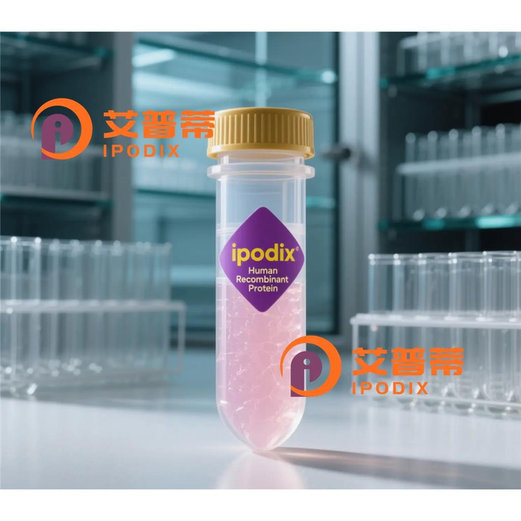 COX17抗体;COX17 Antibody—艾普蒂