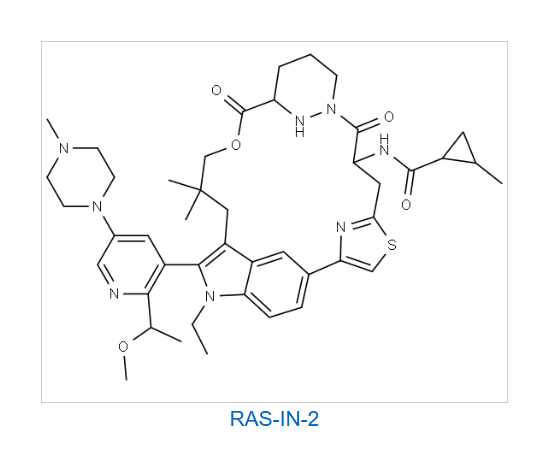RAS-IN-2