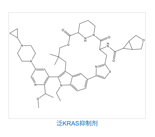 泛KRAS抑制剂