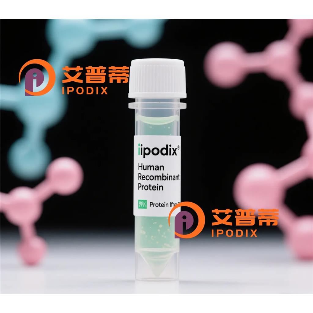 GPC2抗体;GPC2 Antibody—艾普蒂