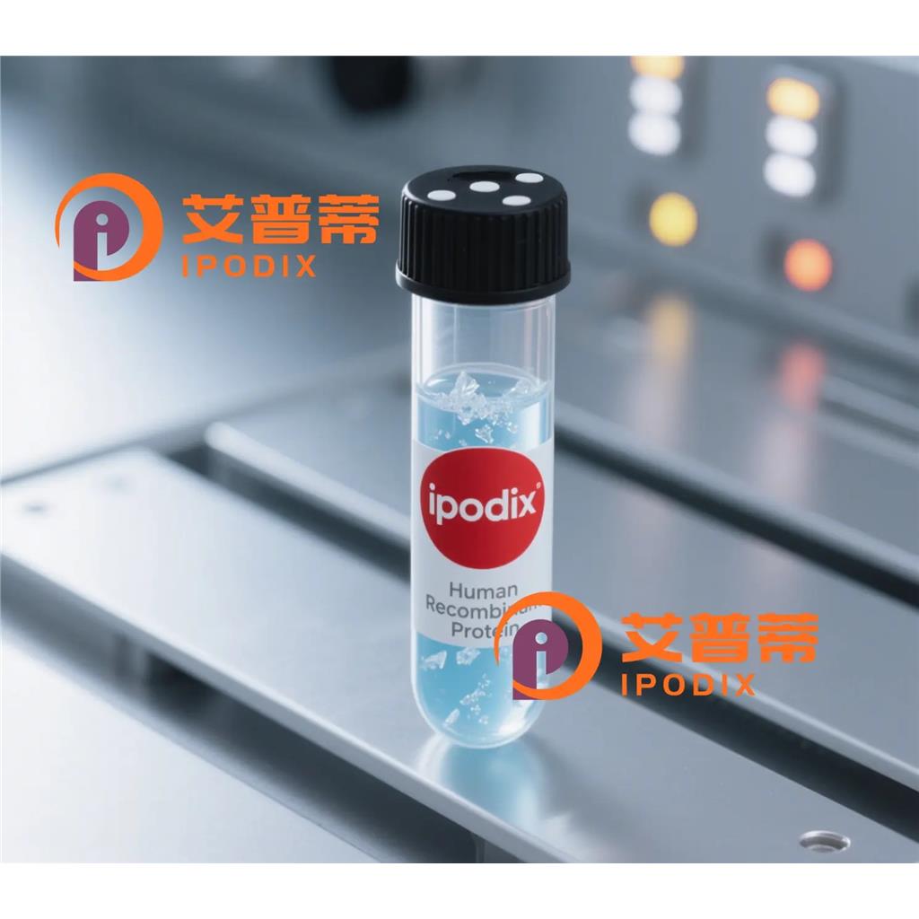 CDC34抗体;CDC34 Antibody—艾普蒂