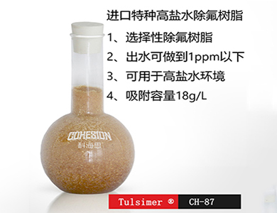 半导体废水除氟离子交换树脂系统