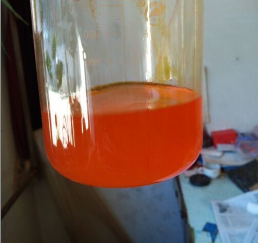 溶剂黄14|油溶黄R|842-07-9