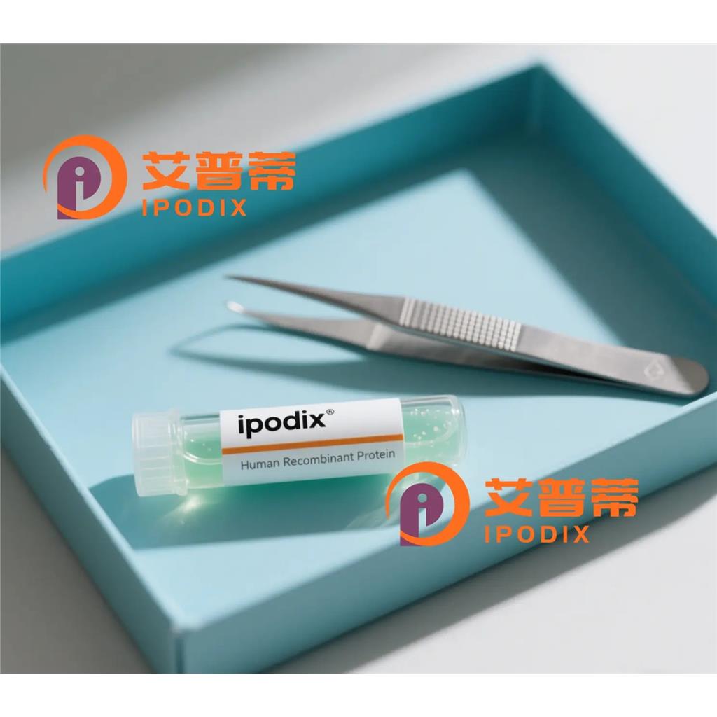 INSR抗体;INSR Antibody—艾普蒂