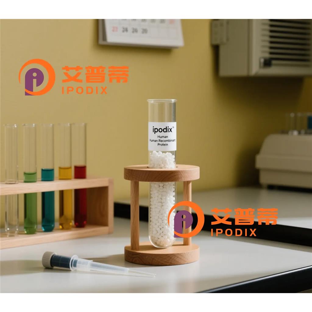 LRRC4抗体;LRRC4 Antibody—艾普蒂