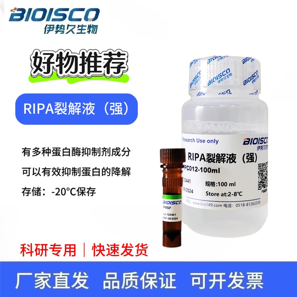 RIPA裂解液（强）