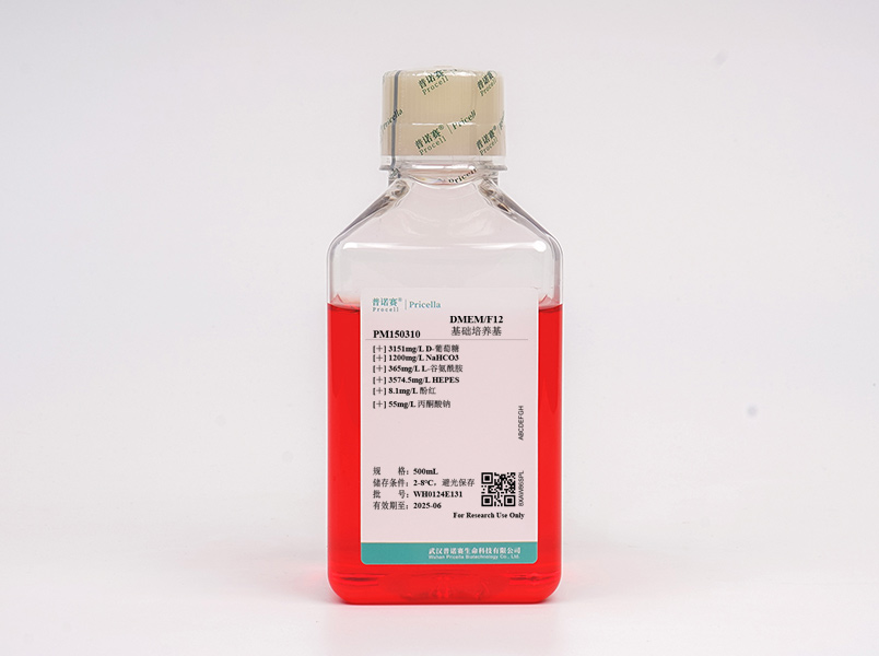 DMEM/F12培养基（含HEPES）PM150310