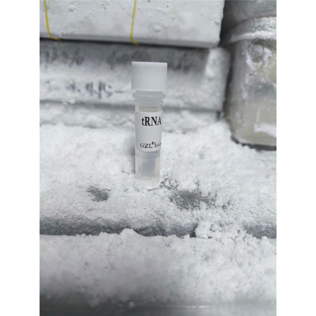 tRNA from E.coli/大肠杆菌tRNA