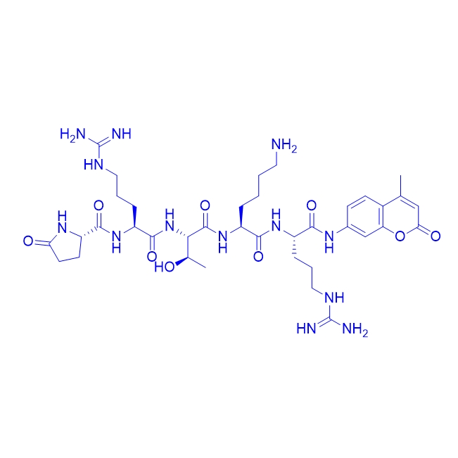 荧光底物肽Pyr-RTKR-AMC/1255501-99-5（TFA）；155575-02-3/Pyr-RTKR-AMC