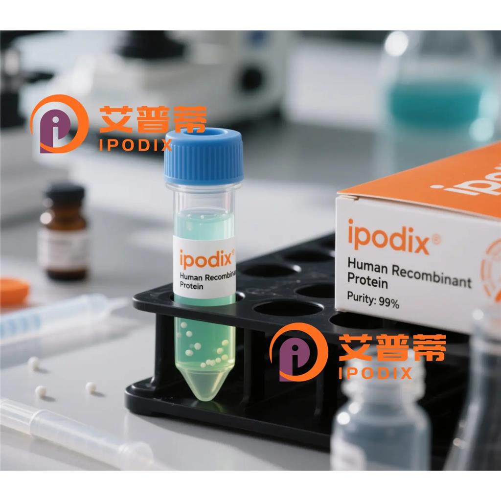 BMP1抗体;BMP1 Antibody—艾普蒂