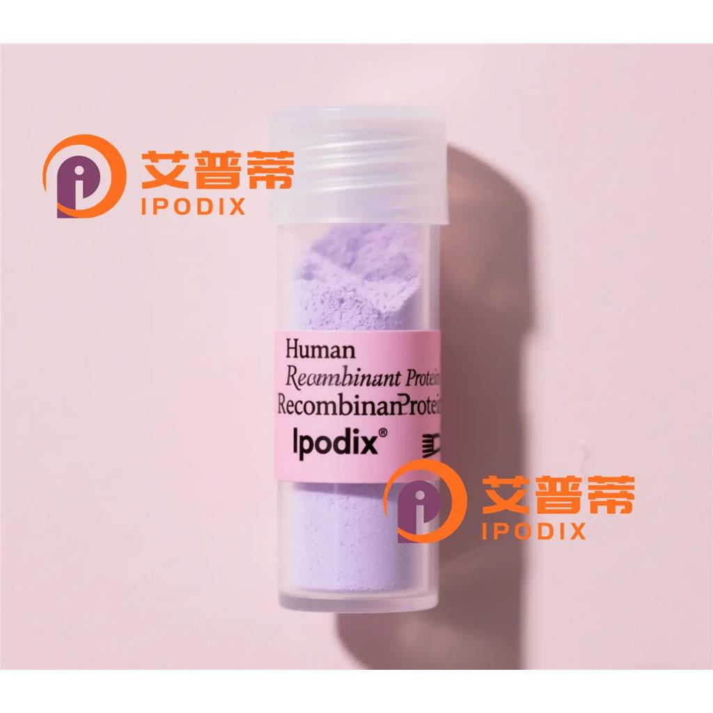 ENKUR抗体;ENKUR Antibody—艾普蒂