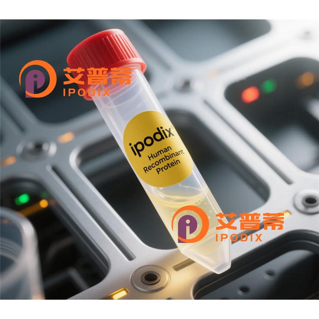 SIGLECL1抗体;SIGLECL1 Antibody—艾普蒂