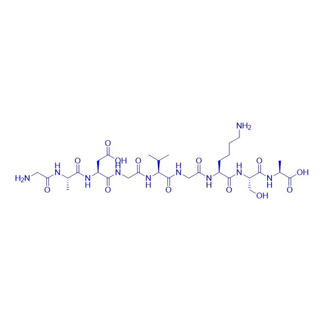 免疫原性新抗原多肽GADGVGKSA/2032119-68-7/GADGVGKSA