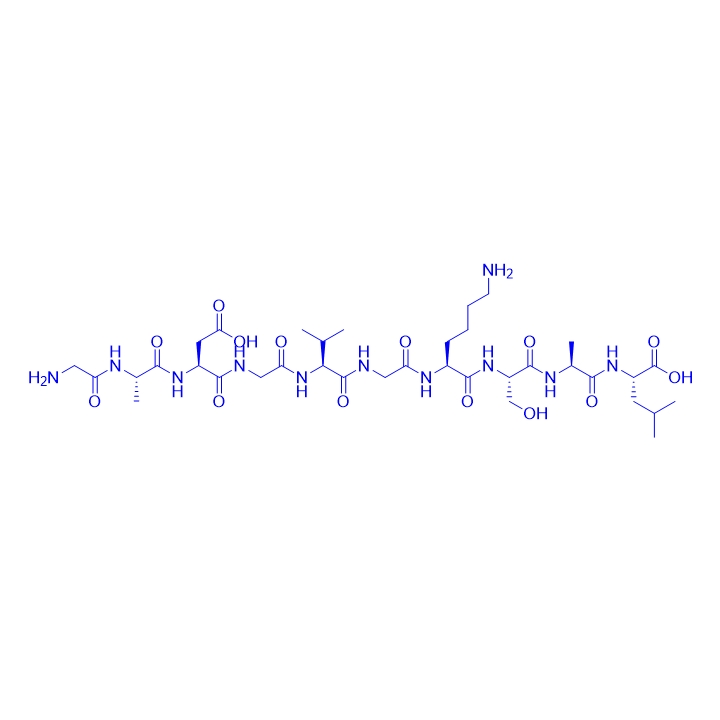 免疫原性新抗原多肽GADGVGKSAL/199477-24-2/GADGVGKSAL