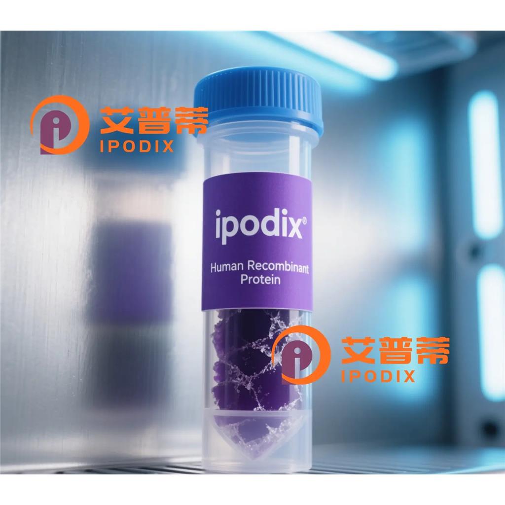 CDKL2抗体;CDKL2 Antibody—艾普蒂