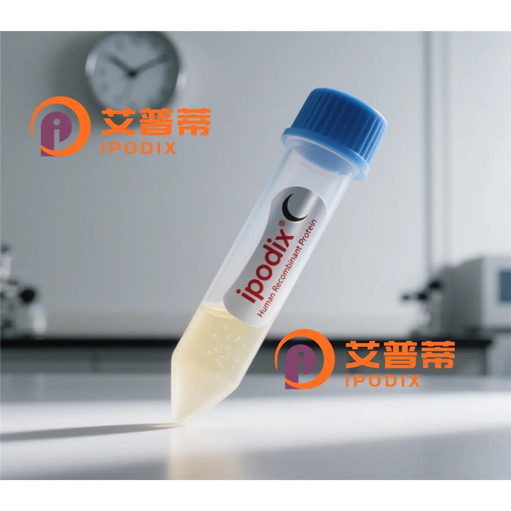 CEP170抗体;CEP170 Antibody—艾普蒂