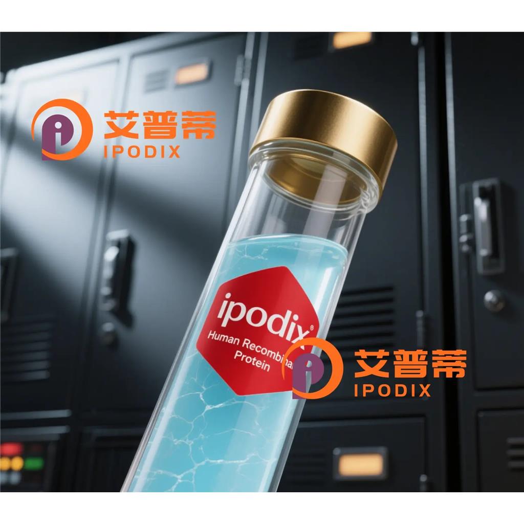 CIITA抗体;CIITA Antibody—艾普蒂