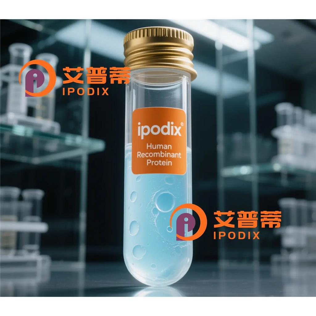 ARCN1抗体;ARCN1 Antibody—艾普蒂