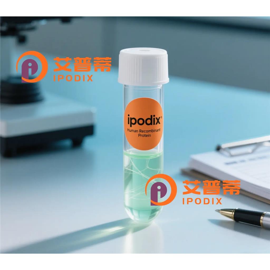 GPR55抗体;GPR55 Antibody—艾普蒂