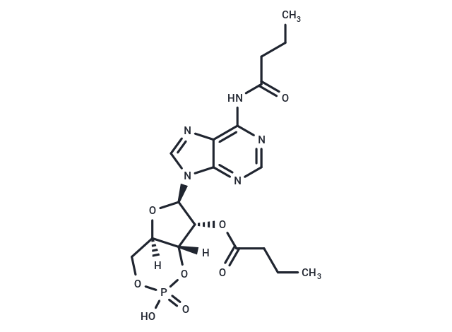 化合物 Bucladesine|T20214|TargetMol