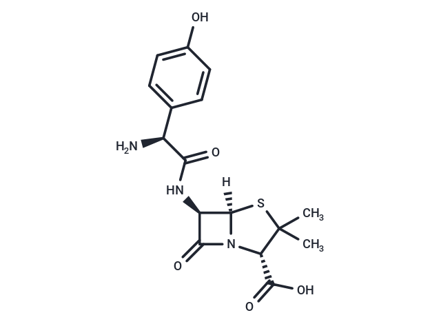 化合物 Amoxicillin, L-|T23732|TargetMol
