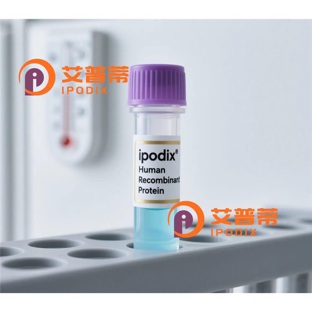 UQCR10抗体;UQCR10 Antibody—艾普蒂