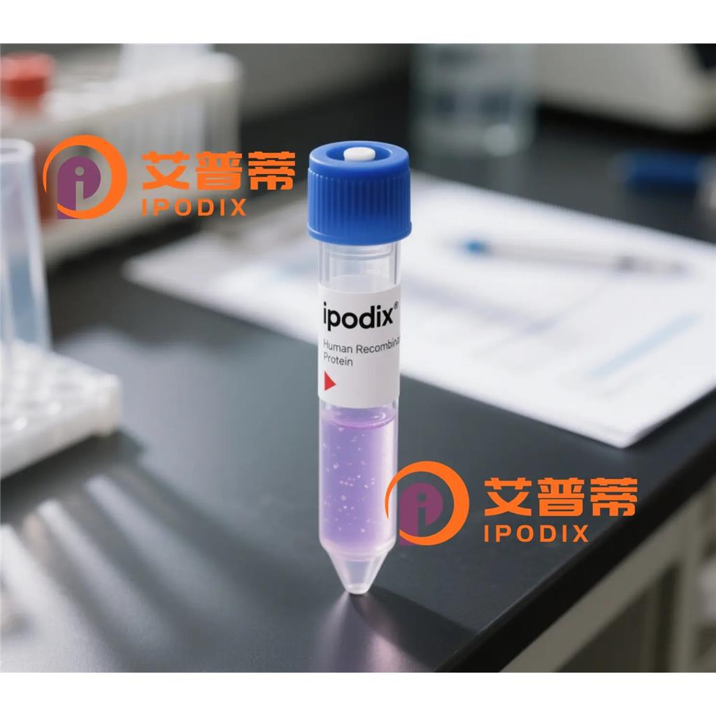 DIXDC1抗体;DIXDC1 Antibody—艾普蒂