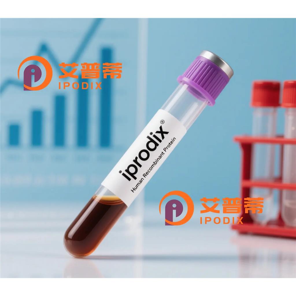 DPCD抗体;DPCD Antibody—艾普蒂