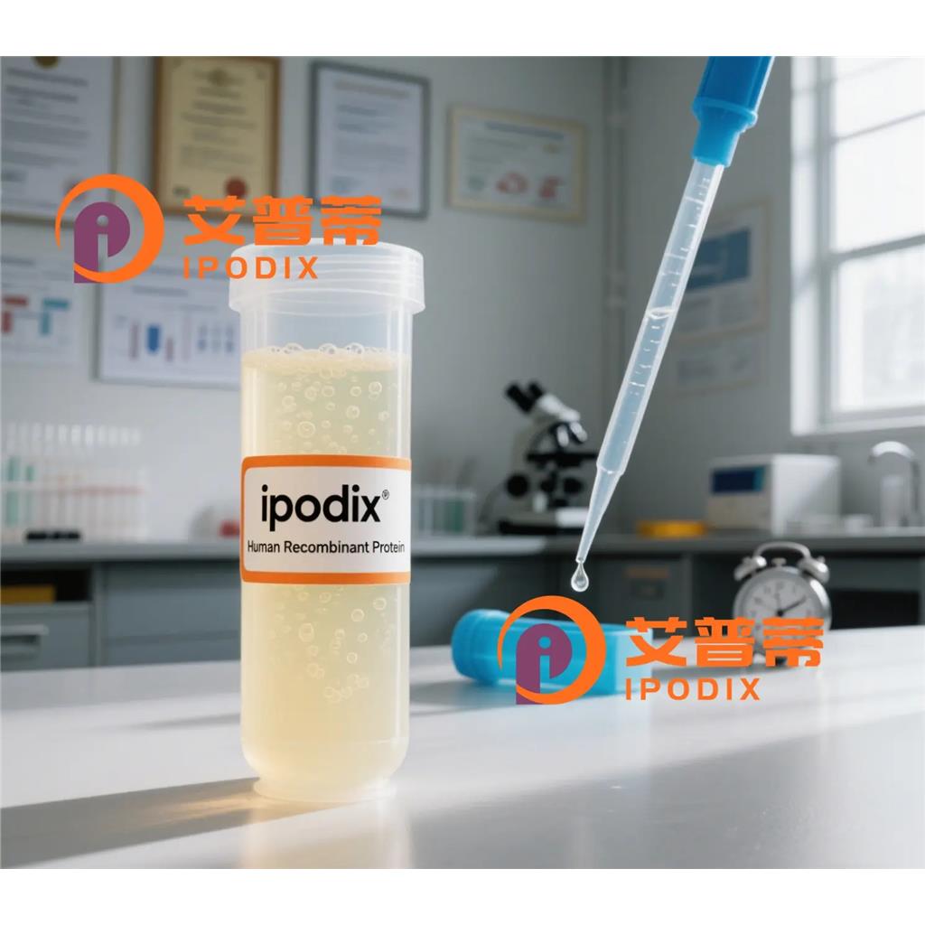 CNOT6抗体;CNOT6 Antibody—艾普蒂