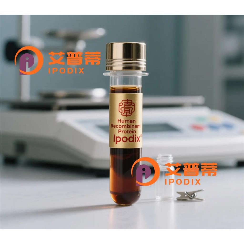 EHD1抗体;EHD1 Antibody—艾普蒂