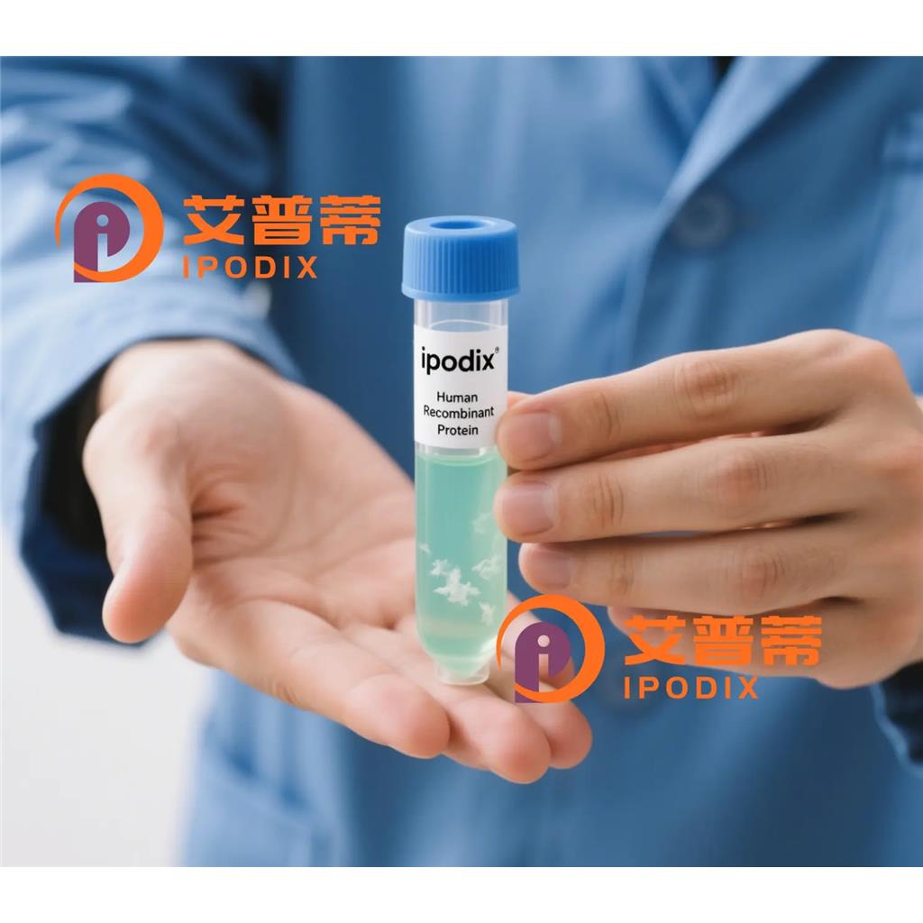 EMX1抗体;EMX1 Antibody—艾普蒂