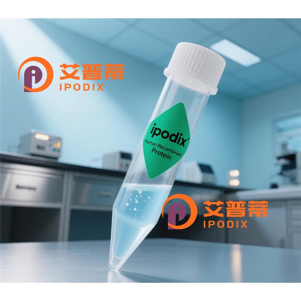 EPSTI1抗体;EPSTI1 Antibody—艾普蒂